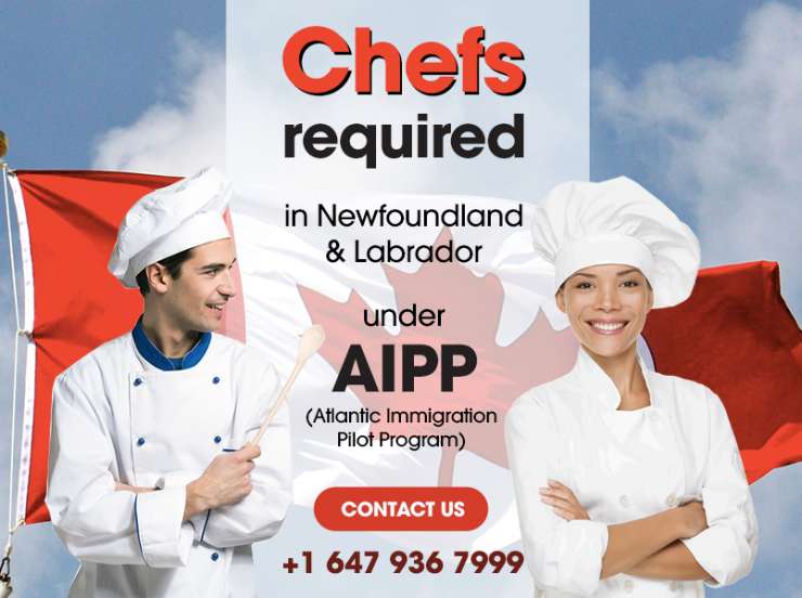 Chefs Required under AIPP in Canada