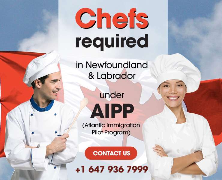 Chefs Required under AIPP in Canada