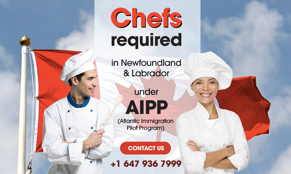 Chefs Required under AIPP in Canada